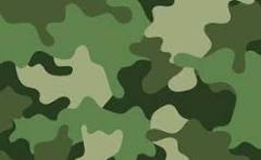 green-camo